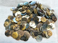 Natural Shell Craft Buttons – Cream – 15mm – Pack of 200