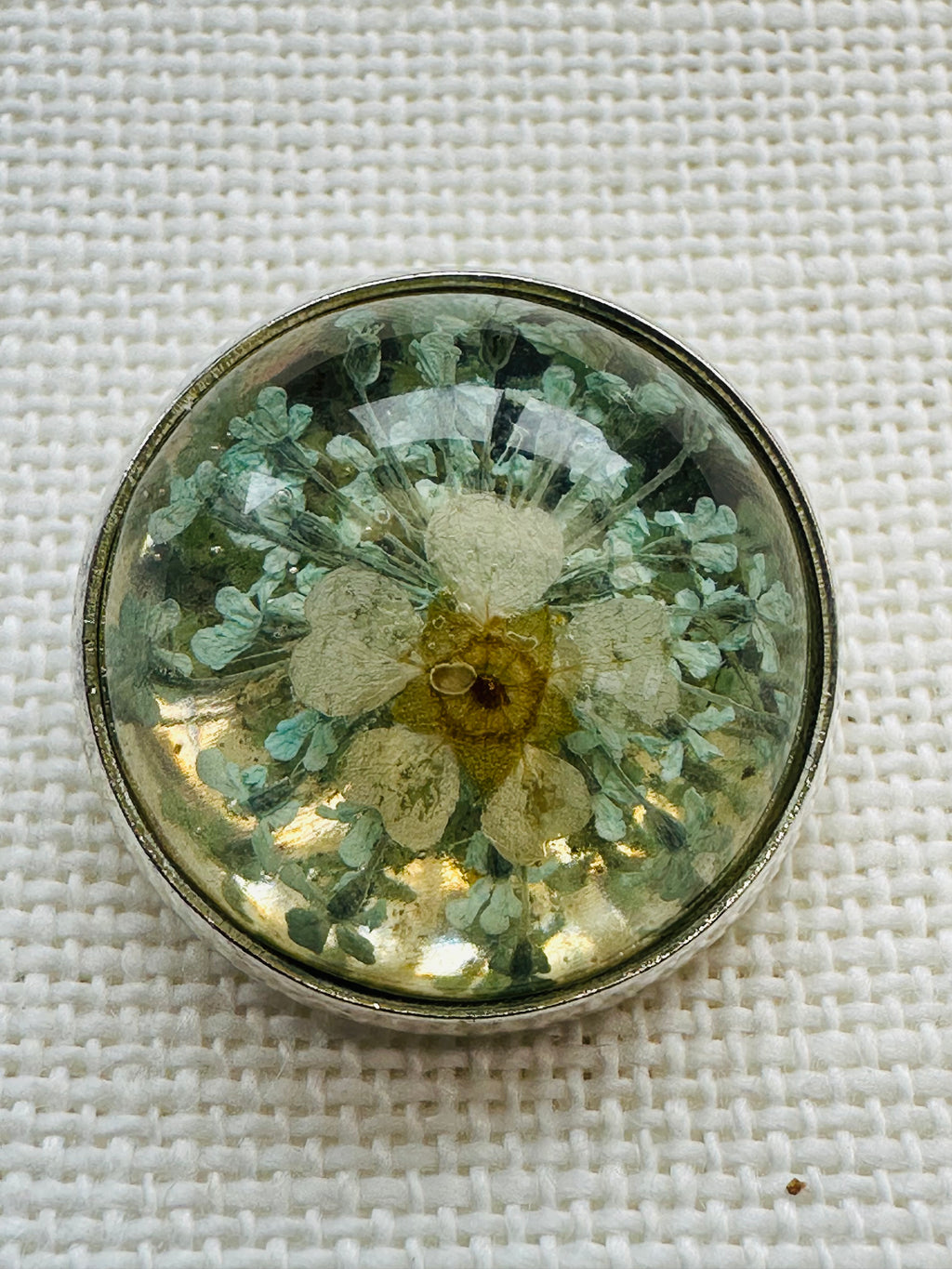 22mm Pressed Flower Resin Button – Hand Assembled in Cornwall