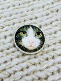 Cat Face Glass & Metal Button – 22mm – Sold Individually