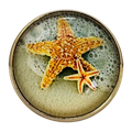 Starfish button 22mm glass and metal inspired by Cornwall sold individually