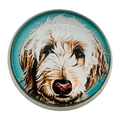 Labradoodle button 22mm glass and metal sold individually