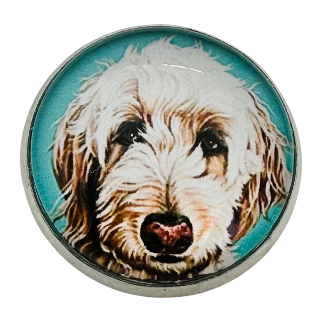 Labradoodle button 22mm glass and metal sold individually