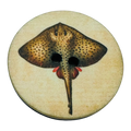 Stingray Buttons 35mm – Coastal Animal Design – 2 Hole – Sold Individually