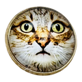 Cat Glass & Metal Buttons 22mm – Designer Shank Buttons