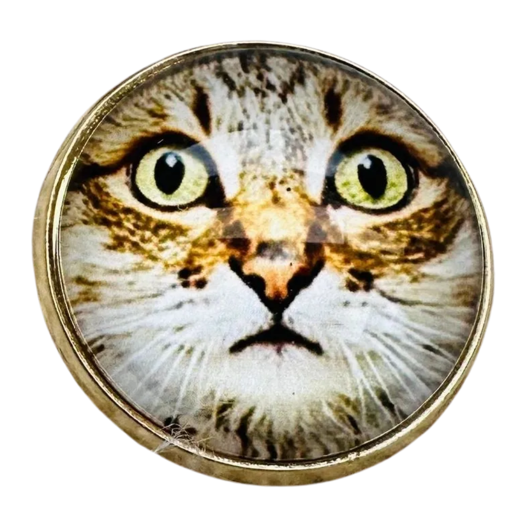 Cat Glass & Metal Buttons 22mm – Designer Shank Buttons