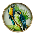 Parrot Glass & Metal Button 22mm – Tropical Bird Design – Sold Individually