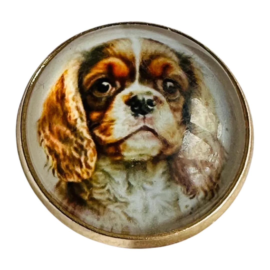 Spaniel button 22mm Cavalier King Charles glass and metal sold individually