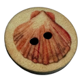 Scallop shell button 18mm orange and beige sold individually