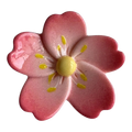 Cherry blossom buttons 24mm pink and yellow sold individually