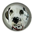 Dalmatian dg button 22mm glass and metal sold individually