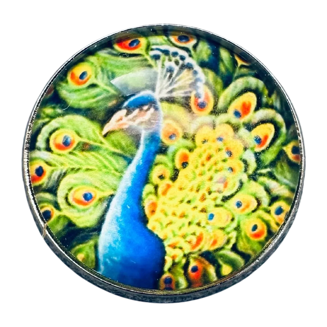 Peacock Glass & Metal Button 22mm – Sold Individually