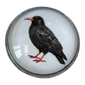 Cornish Chough Glass & Metal Button – 22mm – Inspired by Cornwall