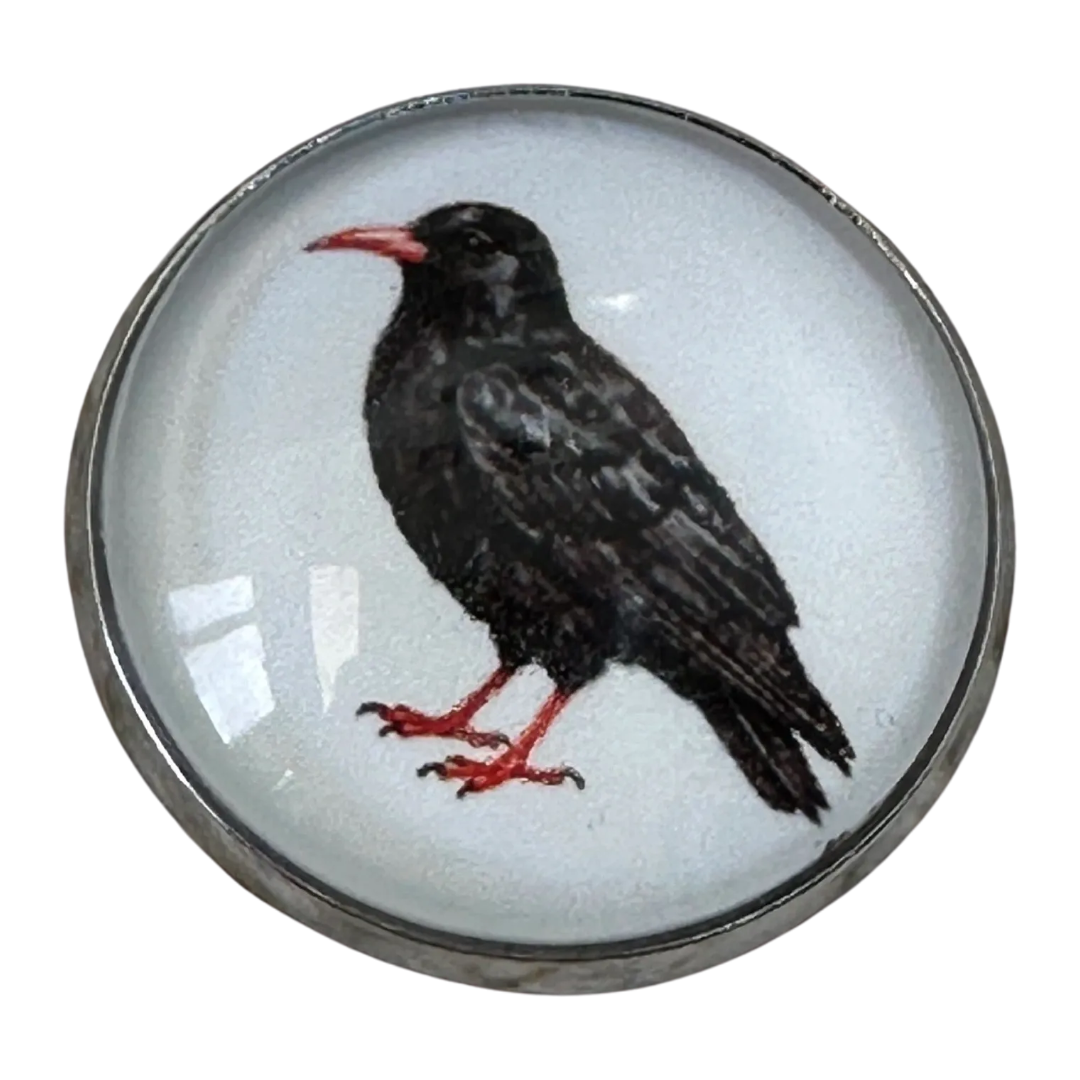 Cornish Chough Glass & Metal Button – 22mm – Inspired by Cornwall