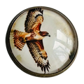 Bird of Prey button 22mm glass and metal sold individually