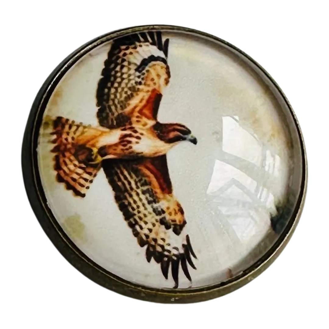 Bird of Prey button 22mm glass and metal sold individually