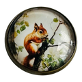Red Squirrel button 22mm glass and metal sold individually