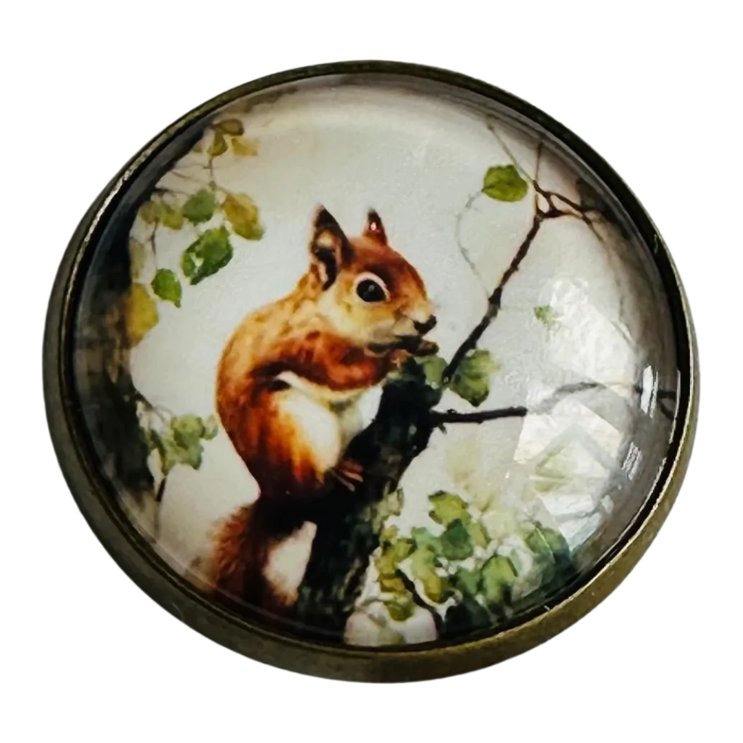 Red Squirrel button 22mm glass and metal sold individually